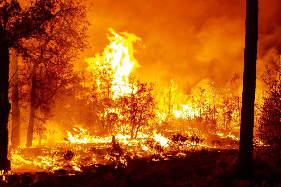 incendio forestal