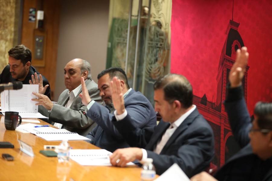 cruz-consejo consultivo omej