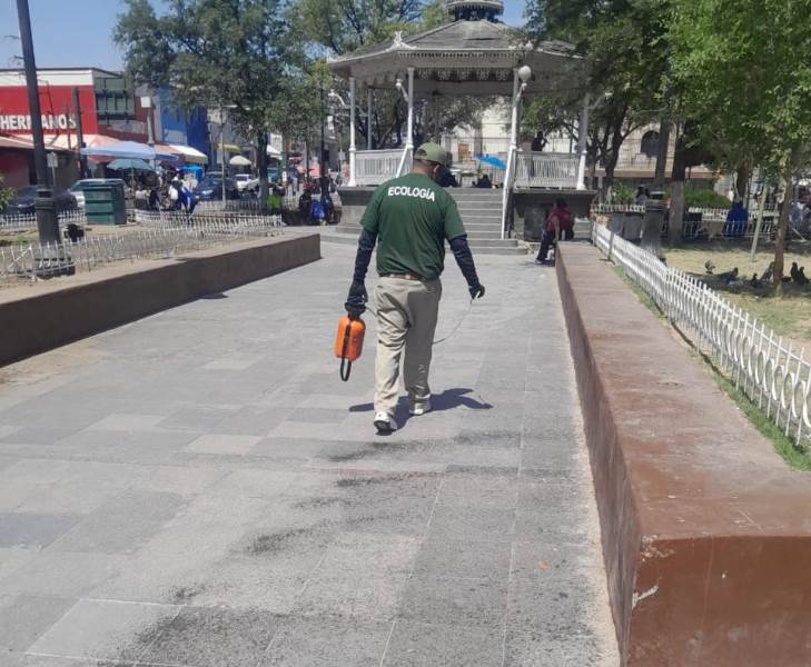 fumigan el centro