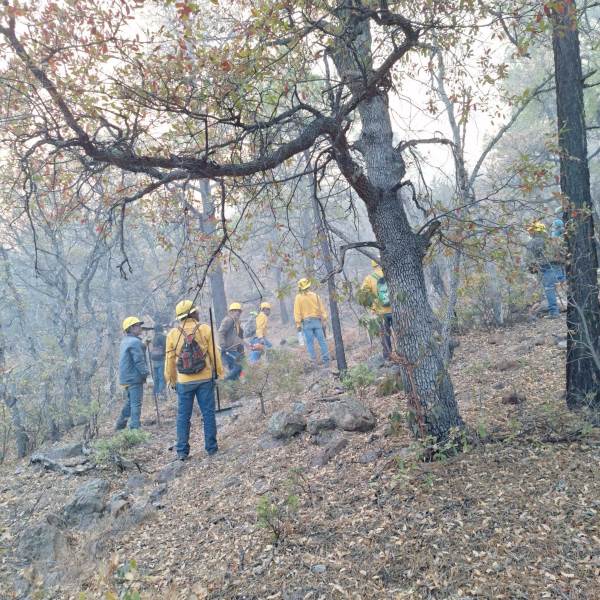 incendios controlados