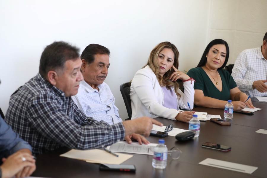 informe cc a regidores