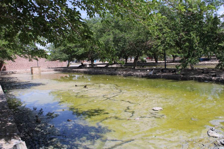 mejoran lago parque