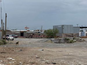 crematorio intervenido