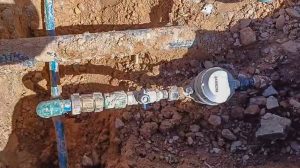 jmas toma clandestina pizza