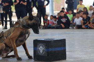campamento policia 2dia