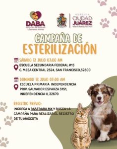 esterilizazcion mascotas en suroriente