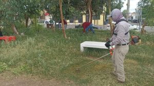 onan equipo de podadoras