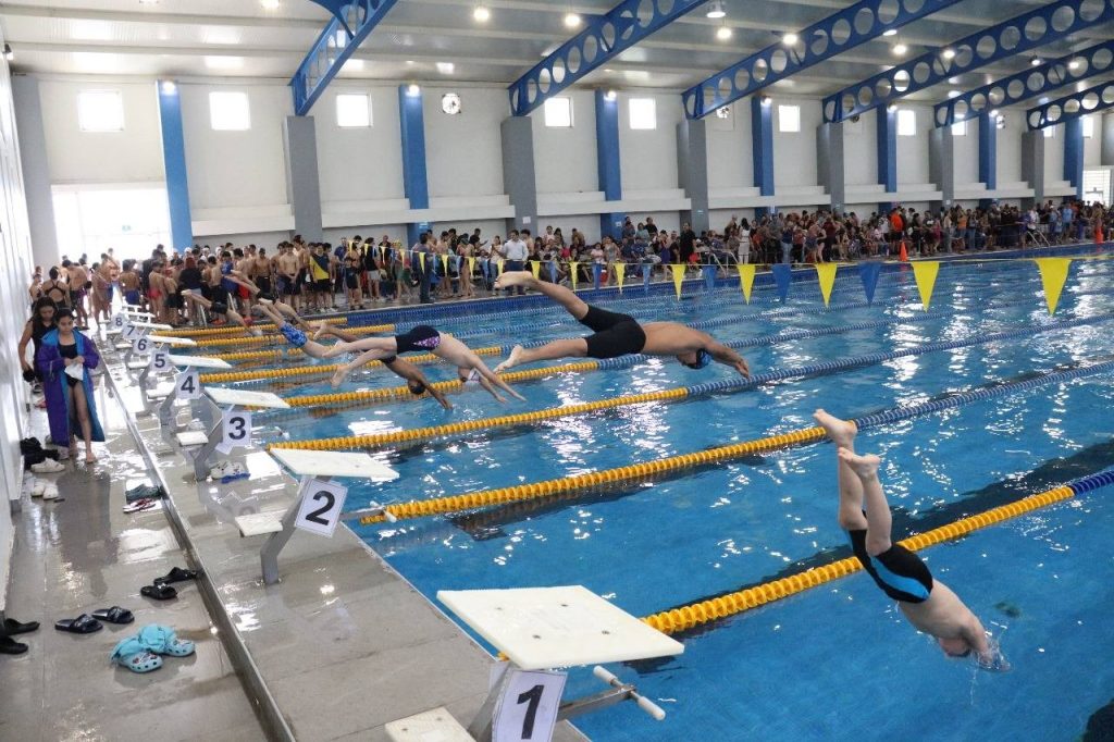 torneo estat natacion