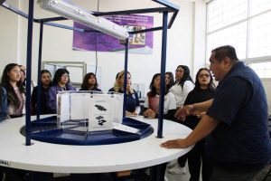 ampliacion tiempo en la utpn