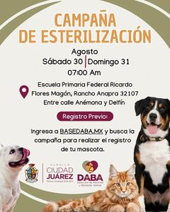 campaña esterilizacion sabado