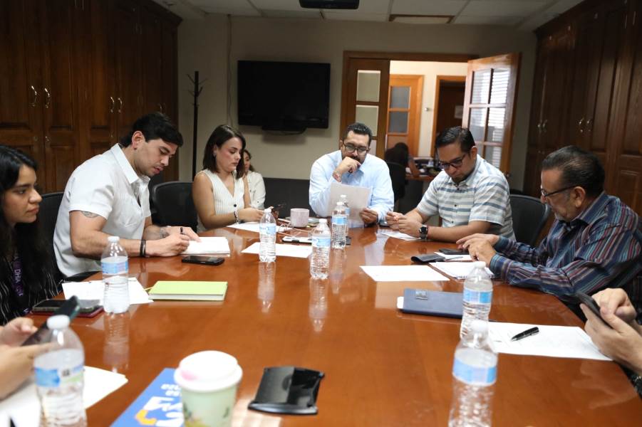 consejos consultivos partic cdna