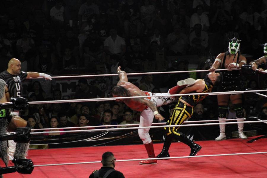 lucha triple a