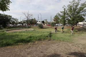 mantenimienti parque nuevo milenio