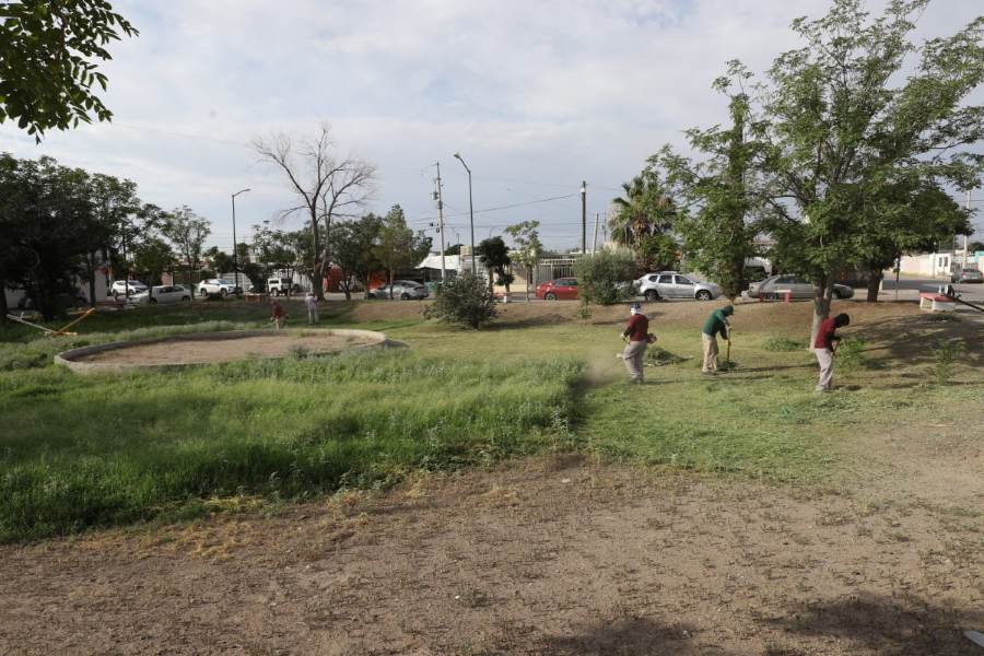 mantenimienti parque nuevo milenio