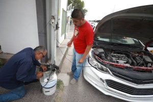 verificacion ecologica