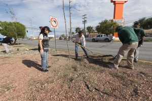 forestacion ejercito nacional