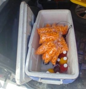 inspeccion comida chatarra