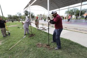 intervienen parque de la familia