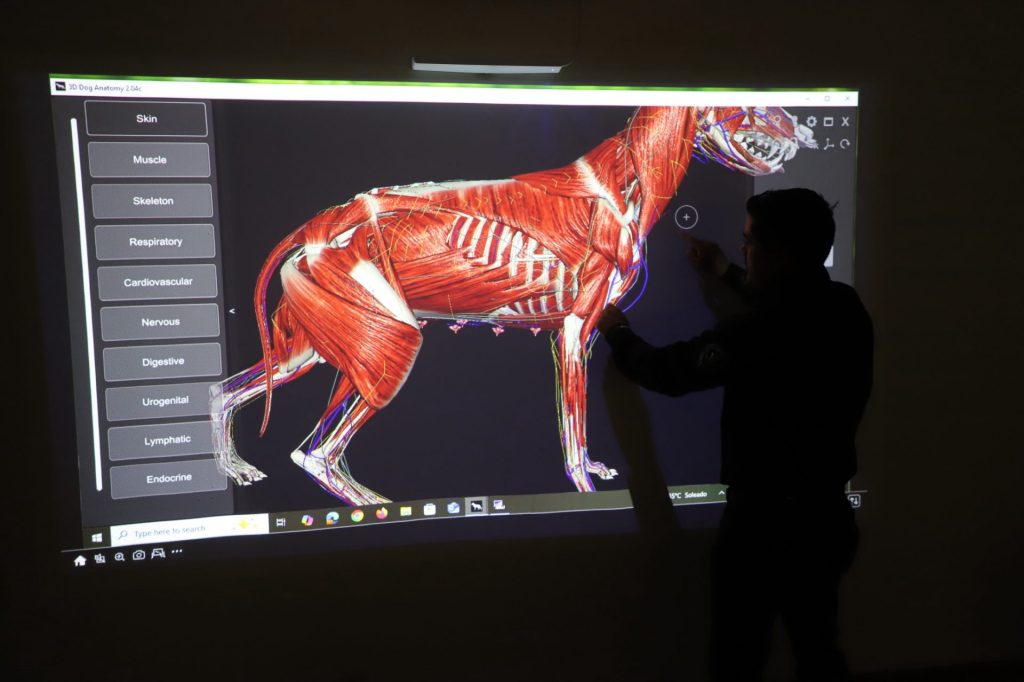 uacj bienestar animal