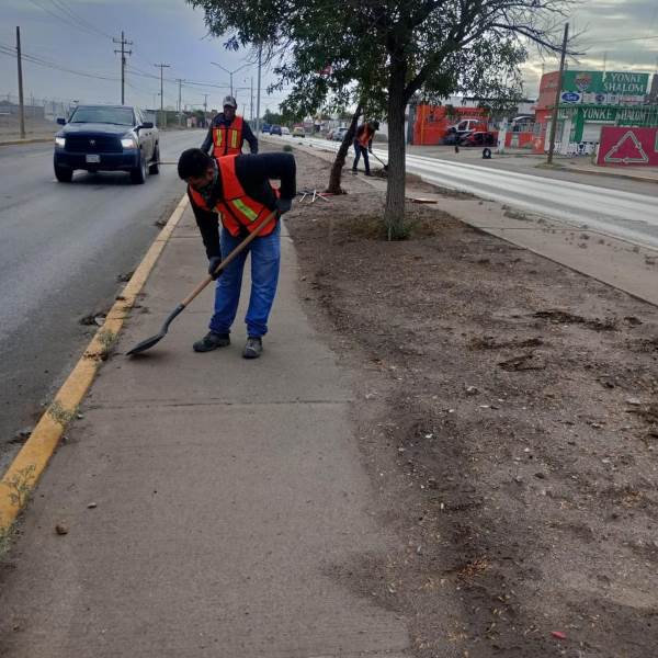 empresas limpian camellones