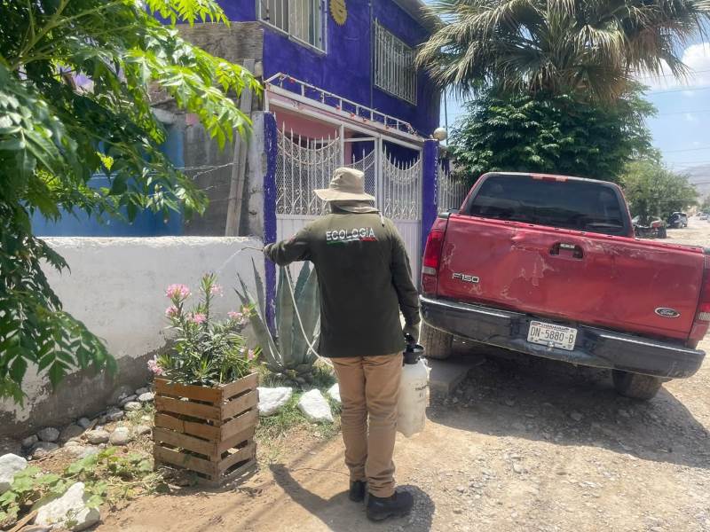 fumigaciones ecologia