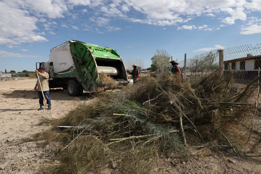 intervienen aguilas de zargoza