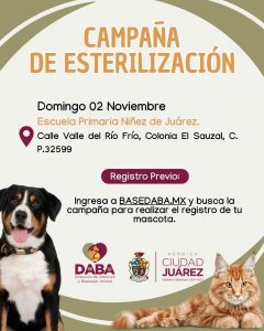 jornada esterilizacion mascotas