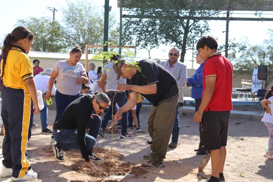 reforestacion conjunta