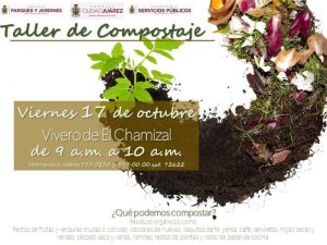 taller composta