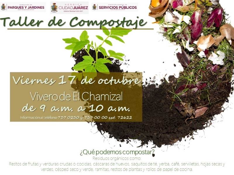 taller composta