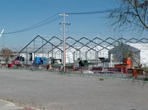 IMG_20251126_111313