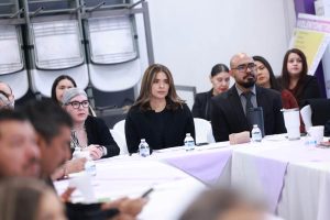 Rubi-perspectivas genero