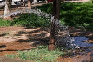 cambi horario riego de jardines
