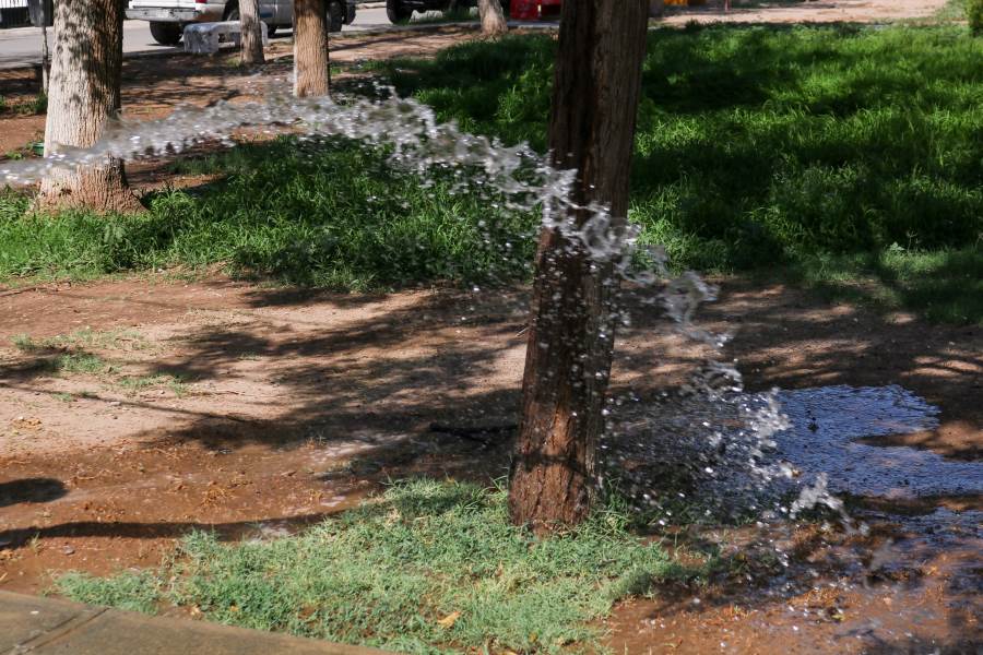 cambi horario riego de jardines