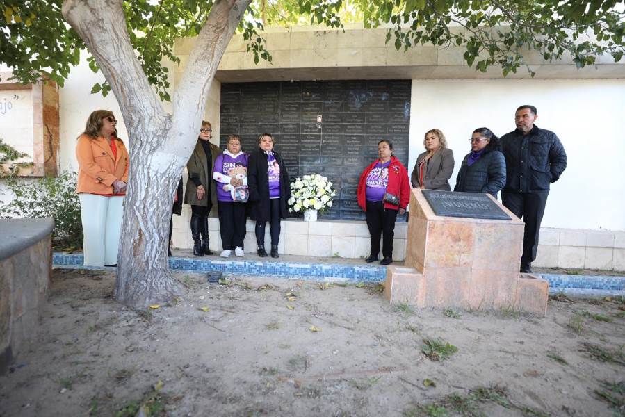 cruz-campo algodonero-25nov