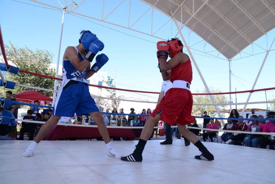 final torneo box