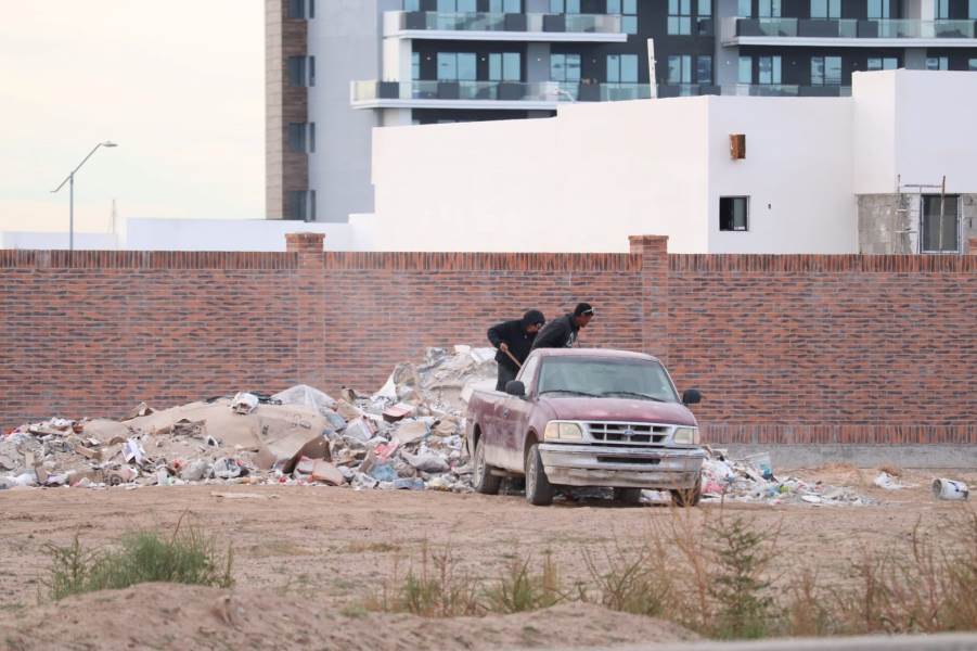 piden identificar a los cochinos de la semana