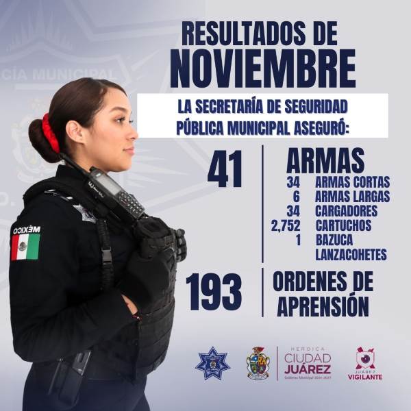 armas decomisadas nov