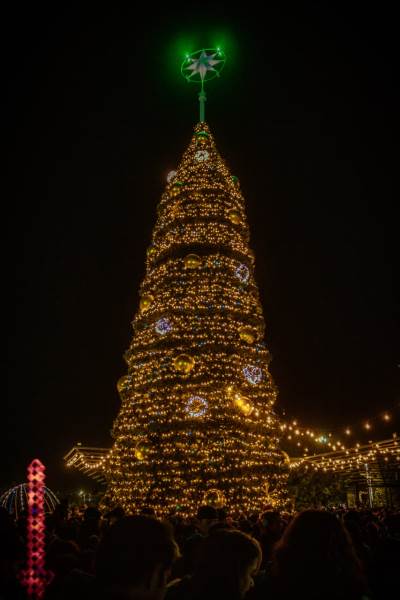 encienden arbol parque central
