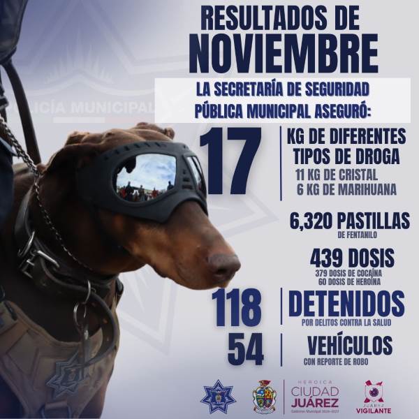 resultados nov droga y armas