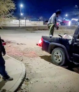 cochino de la semana