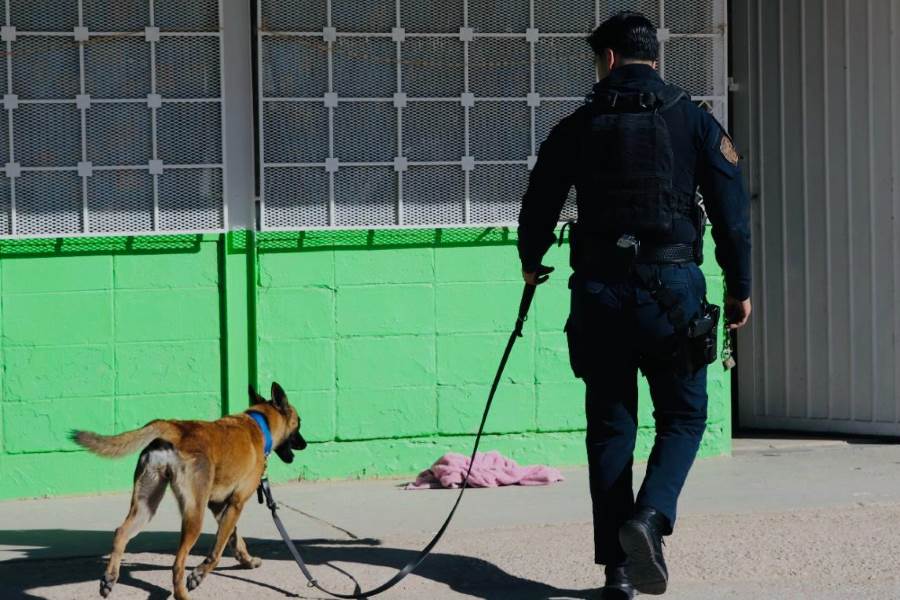 descartan arefactp explosivo en esc