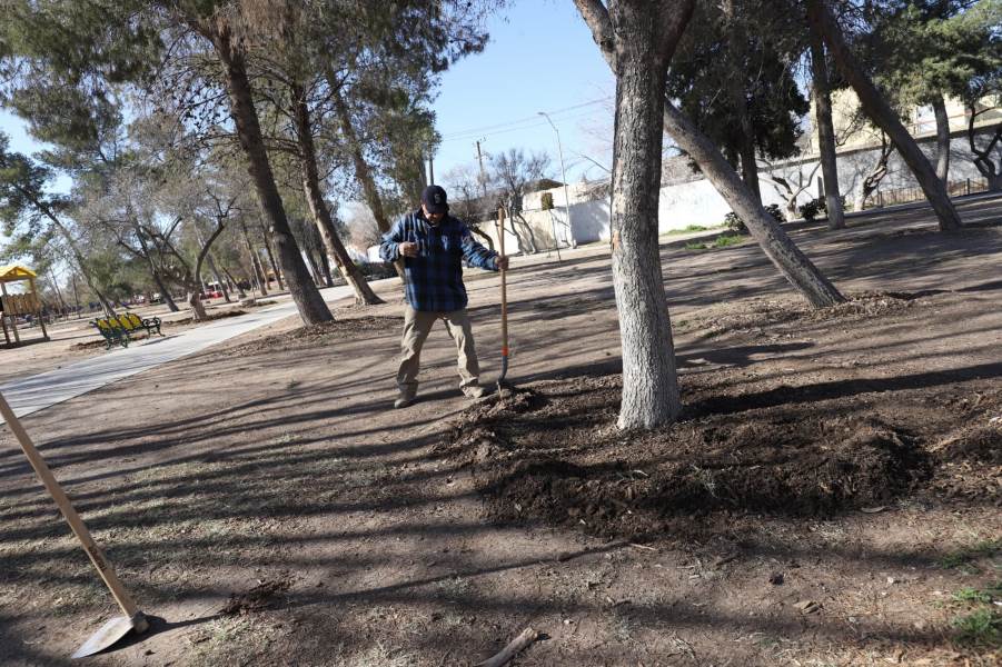 mantenimiento parque borunda