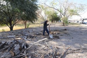 mantnimiento en parque haciendas