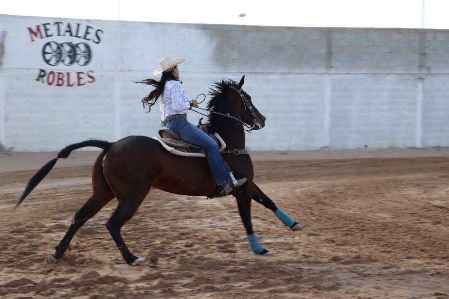 selectivo rodeo