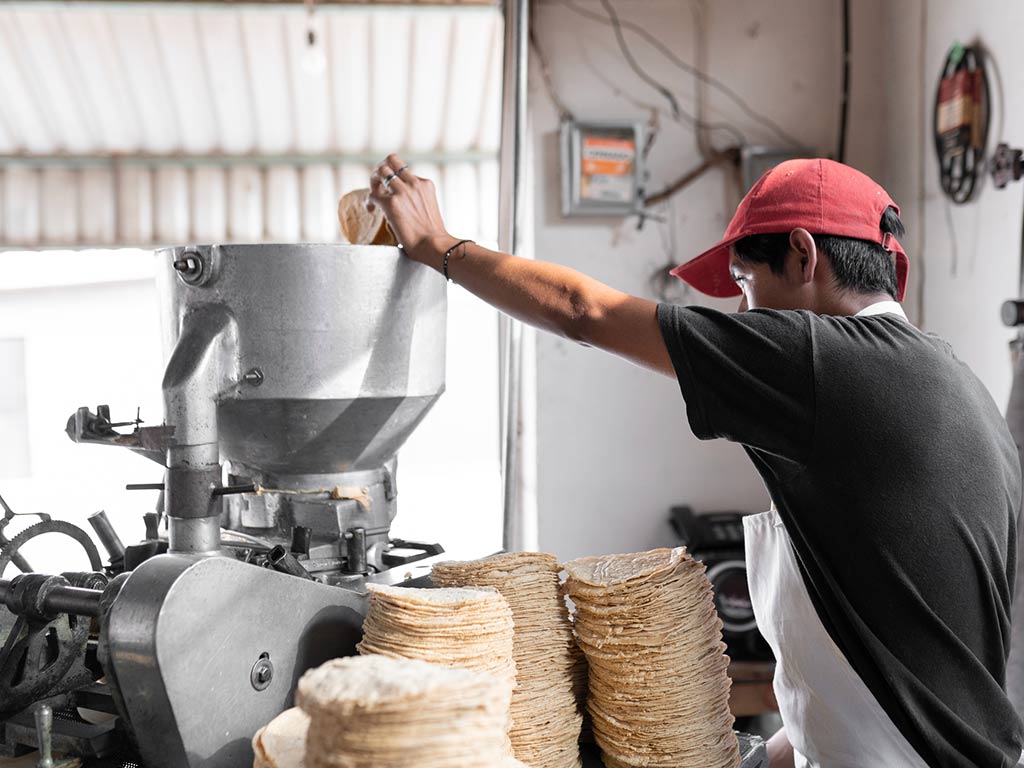 tortillas