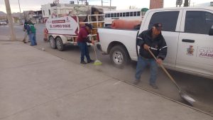 atencion a camellones