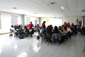 capacitan docentes medios alternativos