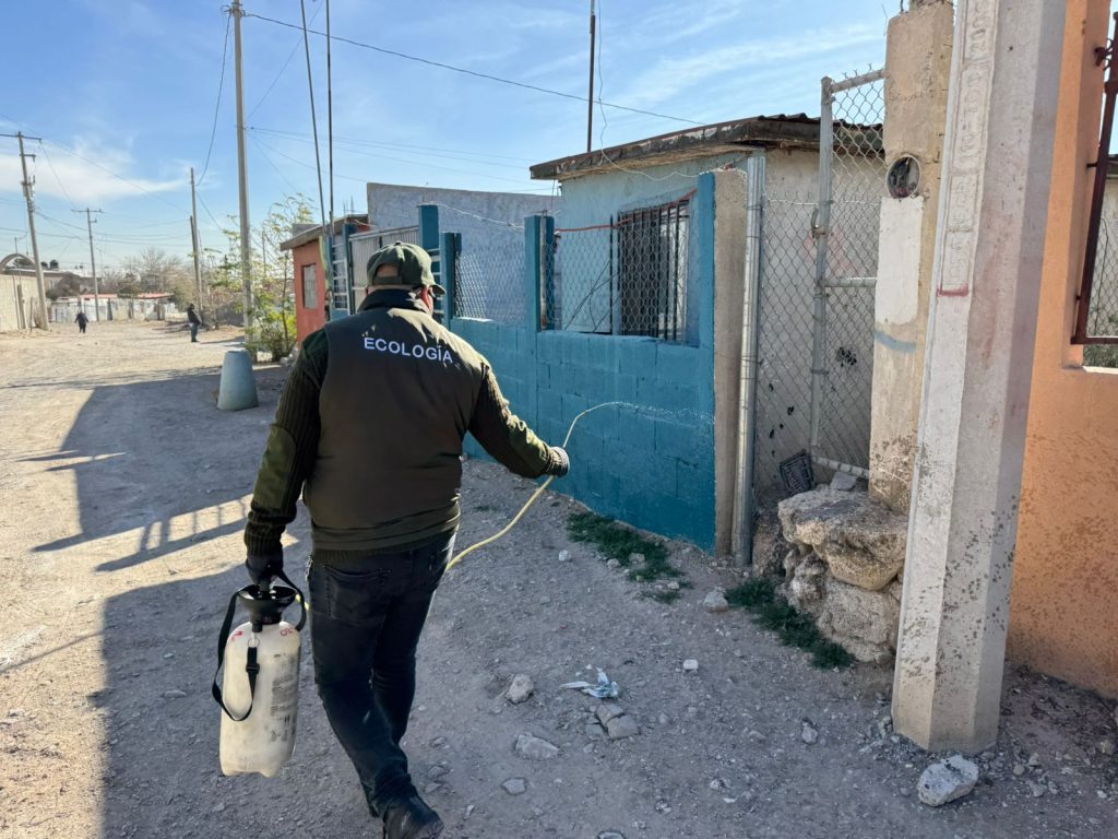 fumigacion garrapata