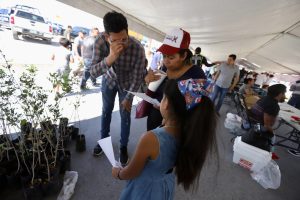 servicion en la zafari ll